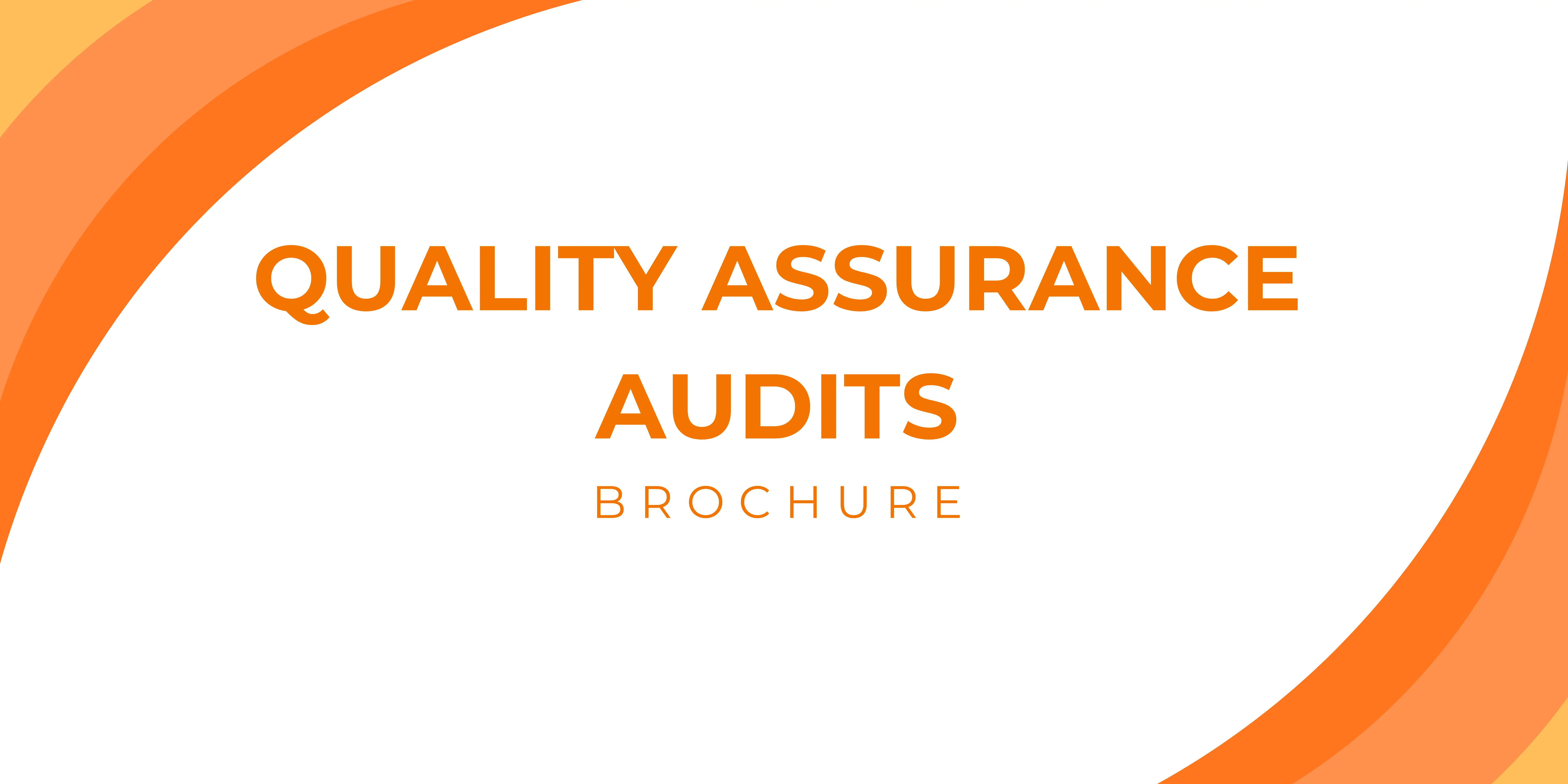 Audits Brochure Thumbnail