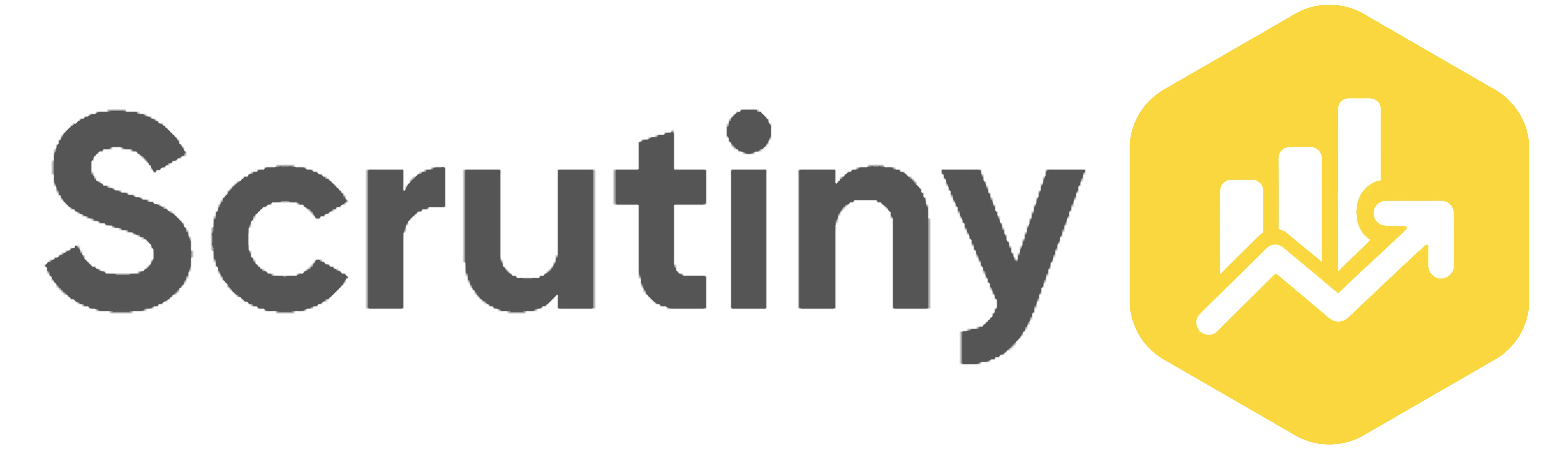 Scrutiny Logo