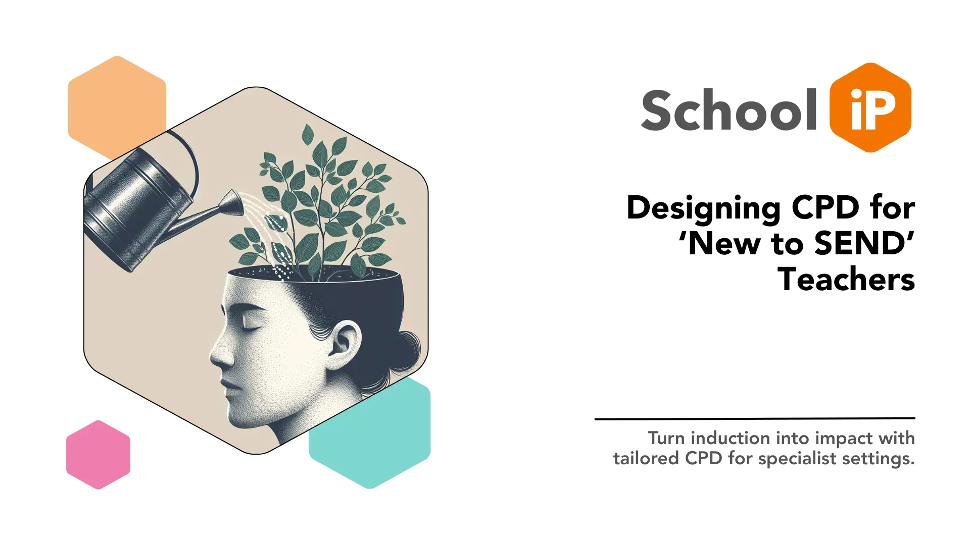 Designing CPD for ‘New to SEND’ Teachers Thumbnail